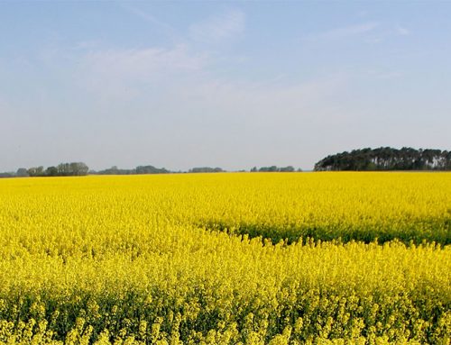 Die Landwirte